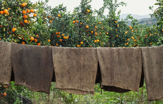 The Non-Negotiable Power of Vitamin C