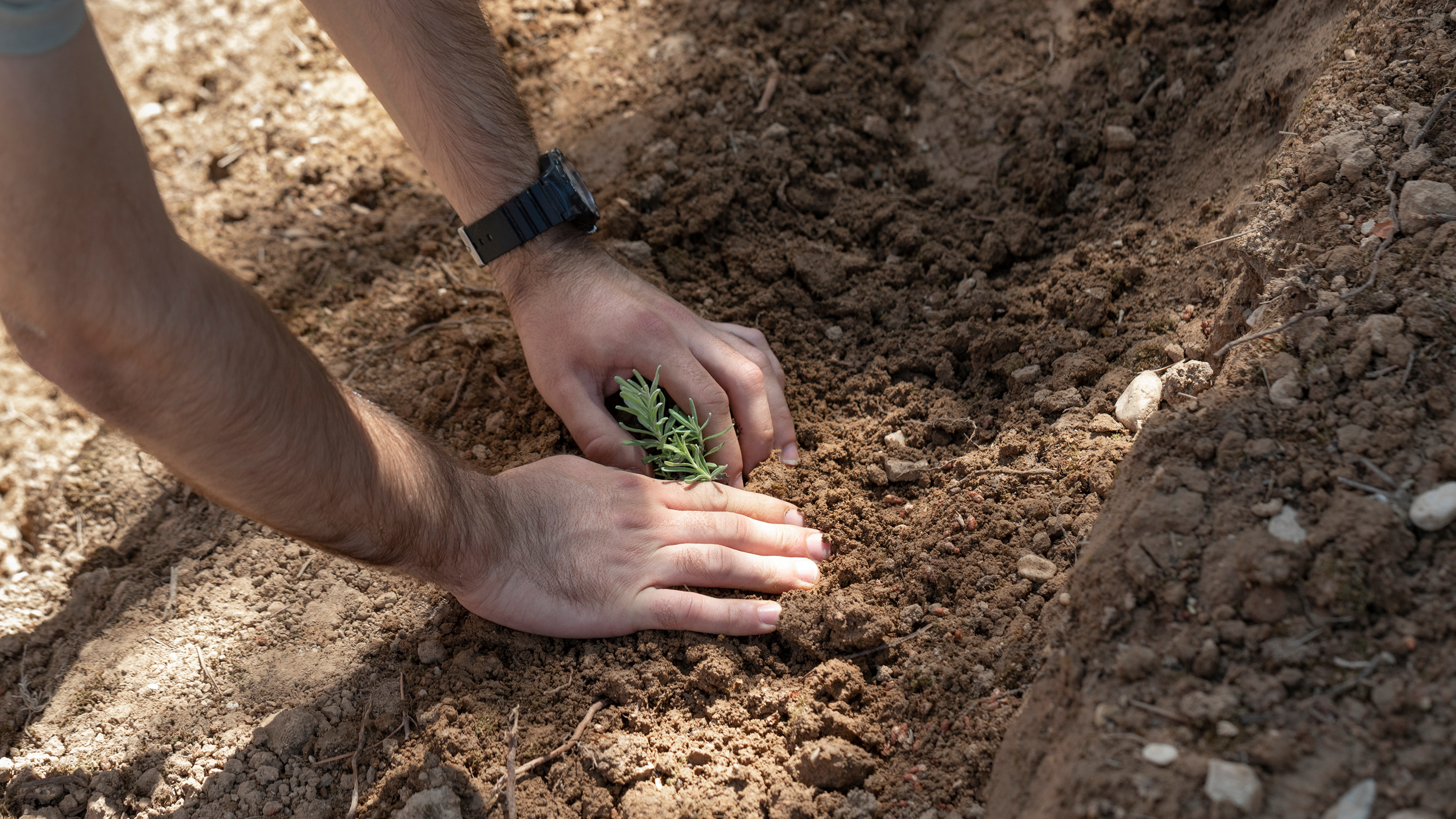 Soil Lab